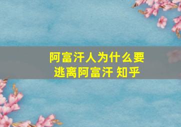 阿富汗人为什么要逃离阿富汗 知乎